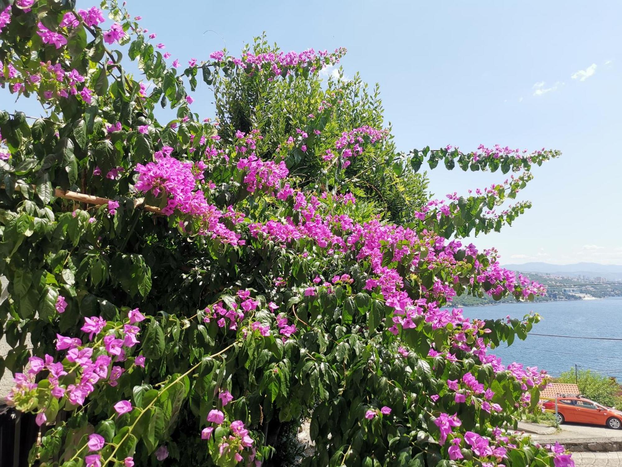 Apartmán Ginko House Opatija Exteriér fotografie