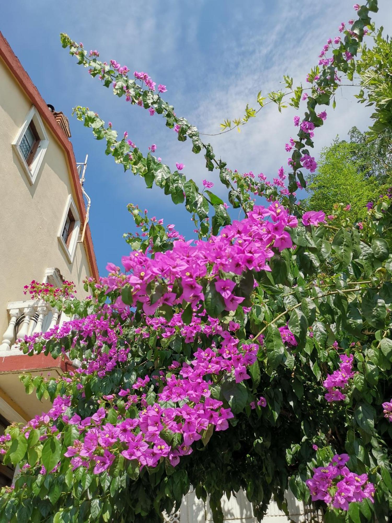 Apartmán Ginko House Opatija Exteriér fotografie